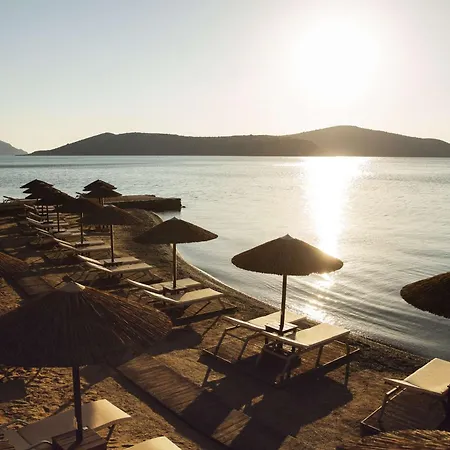 Domes Aulus Resort, Adults Only, Curio By Hilton