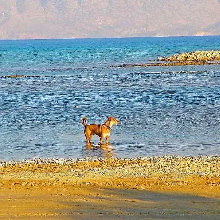 Hotel Almond Tree Elounda