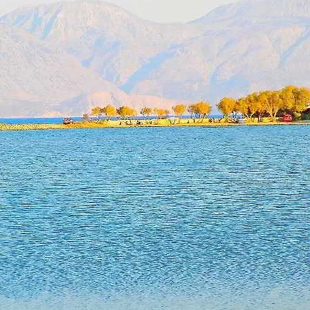 Almond Tree Elounda